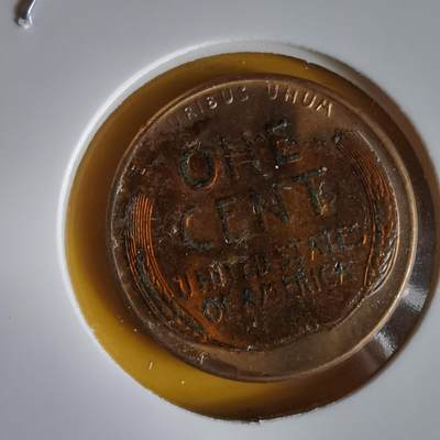 沼泽如烟--第1066场 美国1958年一分