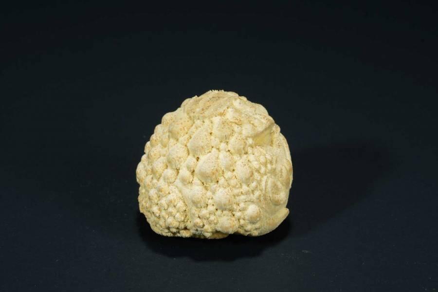 上海都达杂项专场90【全场包邮】 