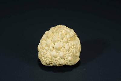 上海都达杂项专场103【全场包邮】  实心玉竹《金蟾》小摆件71-222