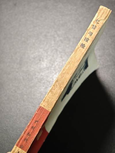 【德藏】世界币章拍卖第171期（拍品征集中~欢迎藏友联系） 6新 匕首与投枪 鲁迅手册 全书约234页