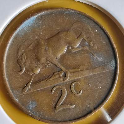 沼泽如烟--第1066场 南非1965年二分