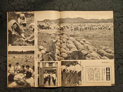 东亚欧洲主题杂货徽章勋章拍卖⑩ （五一大拍350+） 内阁情报所发 写真画报 （佛印增派海军 佛印共同防御日军进占法属印度支那南部（今越南南部），作为反制，美、英、荷等国迅速宣布冻结日本在海外的资产，并实行石油禁运（即著名的ABCD包围网））