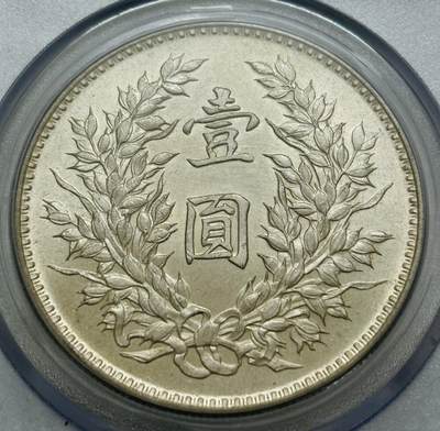 文馨钱币收藏第 303 场，【五一钱币荟，收藏盛宴】长期接代拍业务 公博 MS06 中华民国九年袁大头一元银元，九年精发版