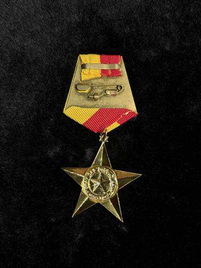 戎马世界章牌大赏第115期 越南英雄金星奖章，大金星，最新版