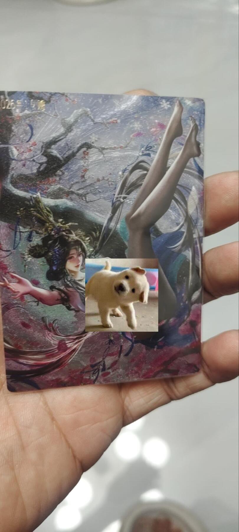 秋原瞳的小店第四十二期——踏青旅途的日子，来一场说走就走的旅行吧