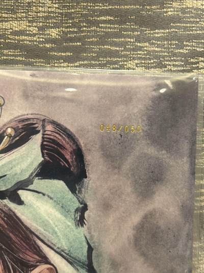 喜灰玩卡拍卖第八期，接拍品0佣金，欢迎送拍，释放现金流，让自己有资金可以购买更多喜欢的卡牌，让别的卡友能淘到更多心仪的卡牌 【亲签限编A4】 百里 港漫水浒 夏伟义老师亲签 限编048/050编 特卡扈三娘 A4折光粗闪 大卡 