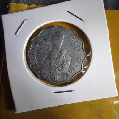 沼泽如烟--第1066场 香港1982年二元