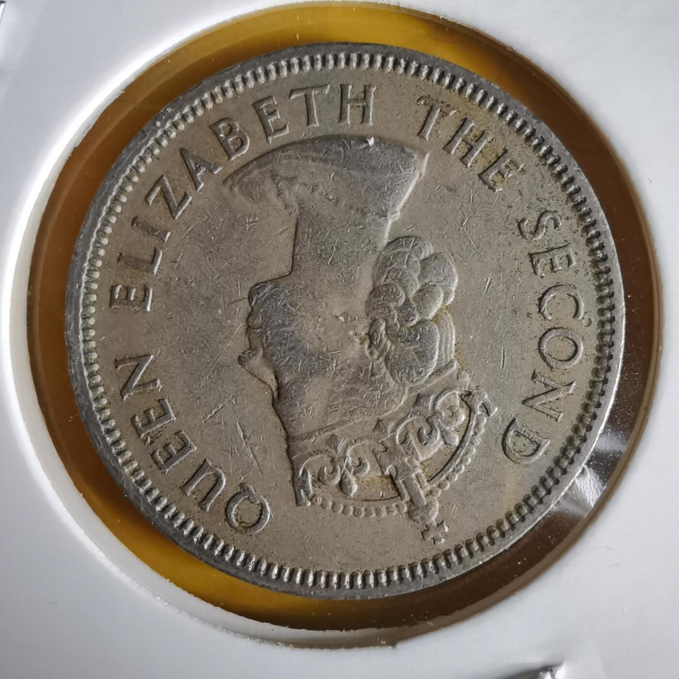 沼泽如烟--第1066场