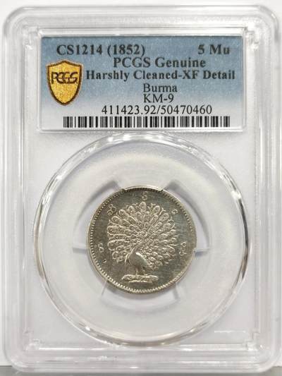 博洋堂“生趣盎然”4月精品专场暨第169期（全场包邮） PCGS XF 缅甸1852年孔雀5MU银币，全套最少见面值