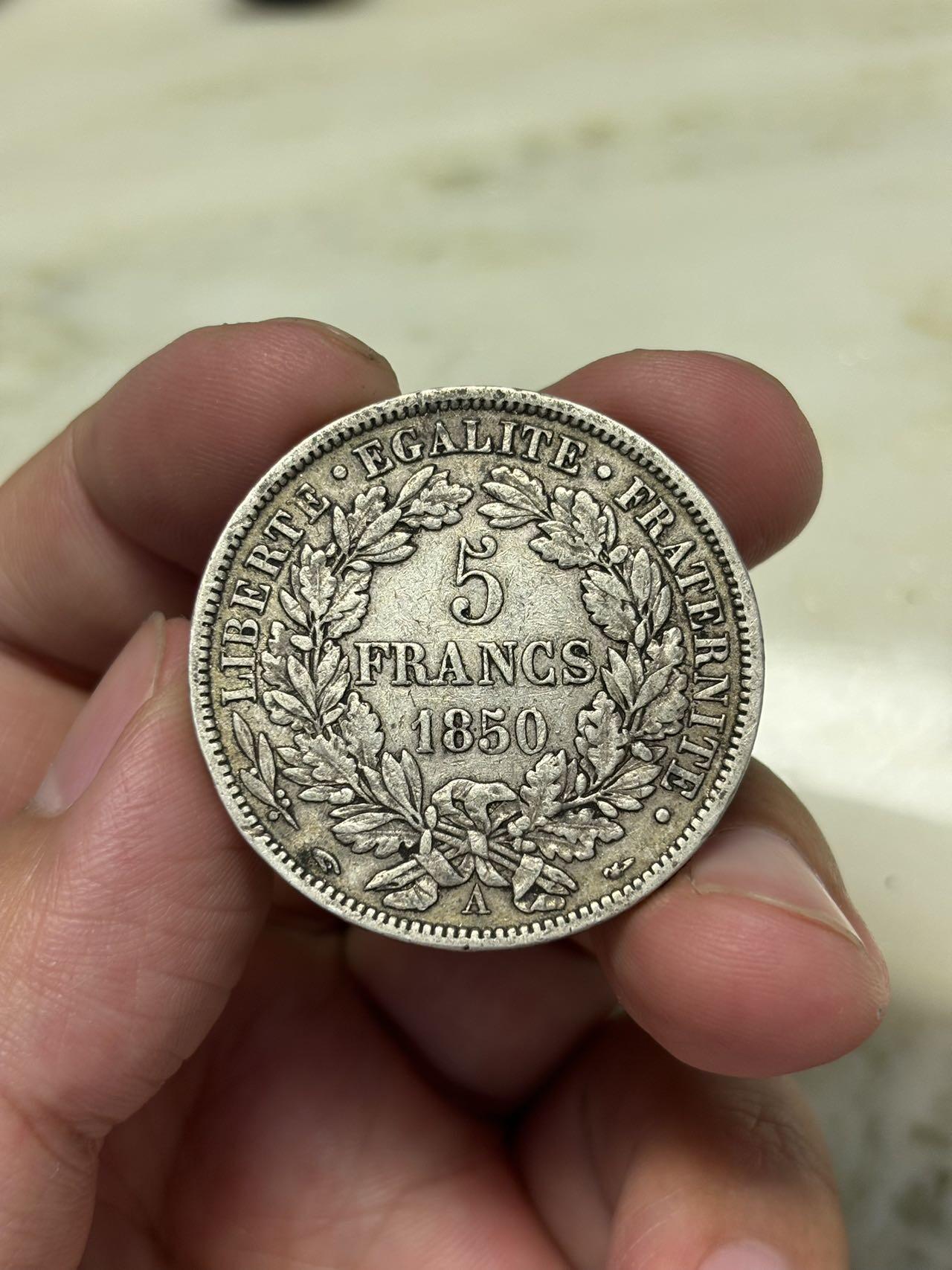 大畅畅的钱币铺