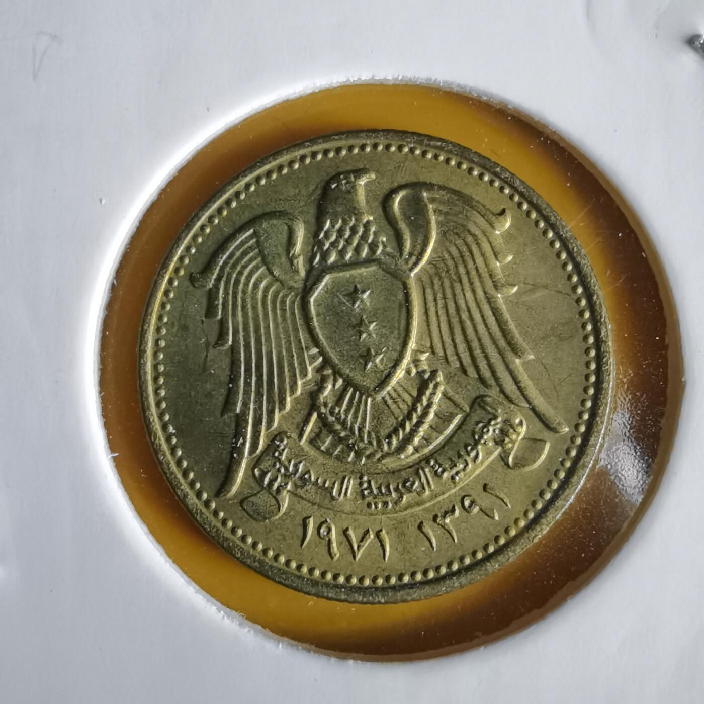 沼泽如烟--第1066场