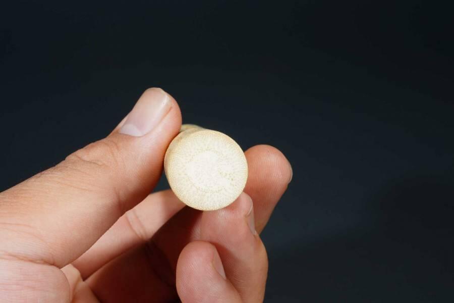 上海都达杂项专场103【全场包邮】 