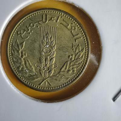 沼泽如烟--第1066场 叙利亚