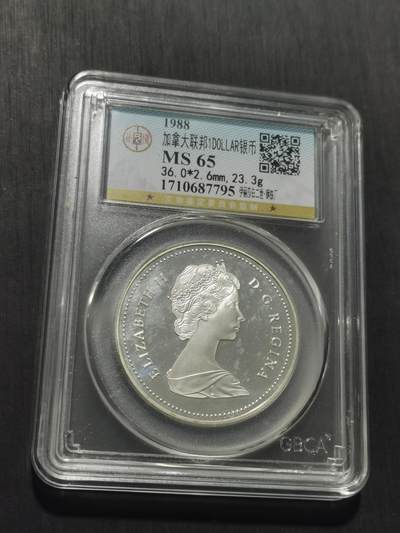 天下钱庄专场欢迎参拍 加拿大1加元银币