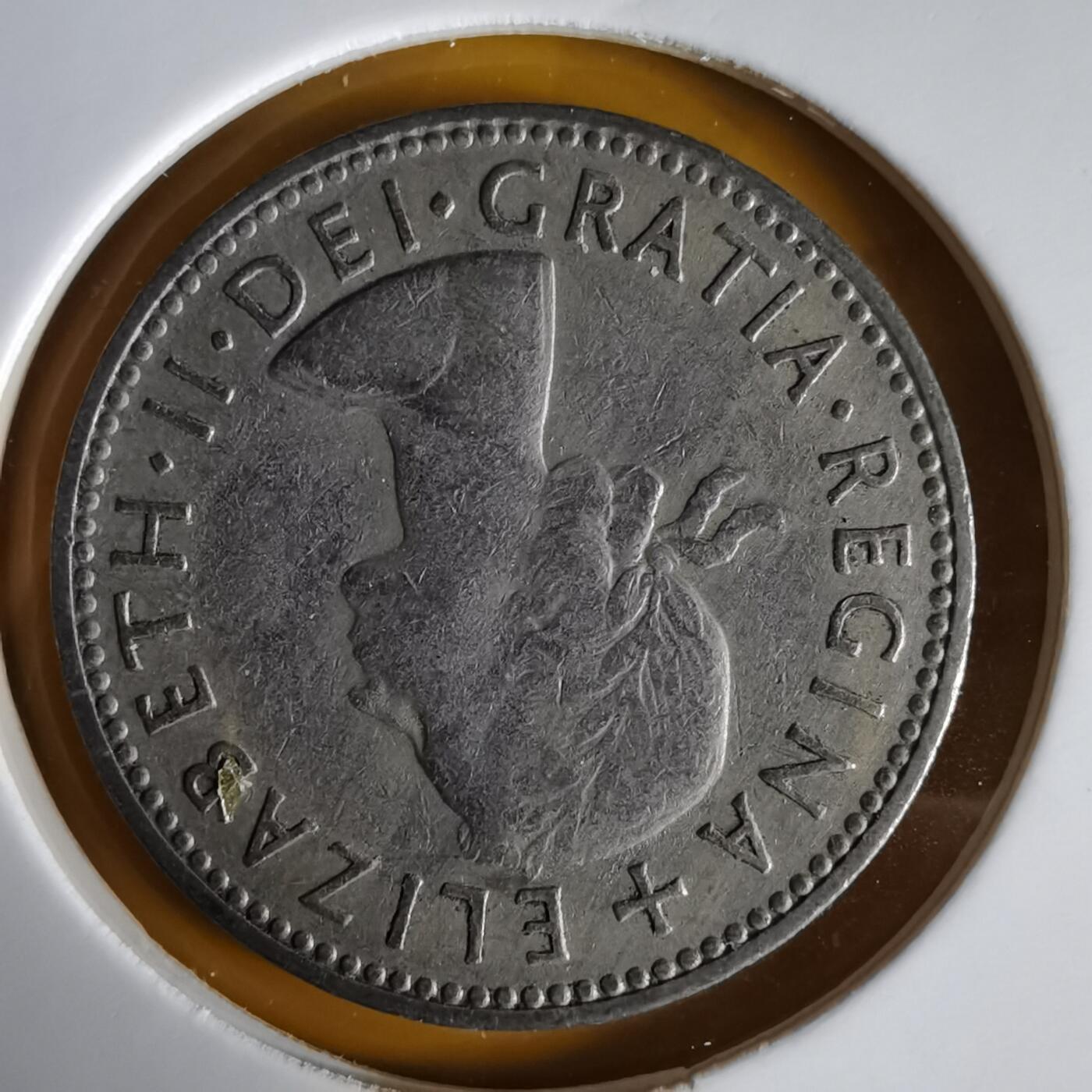 沼泽如烟--第1066场