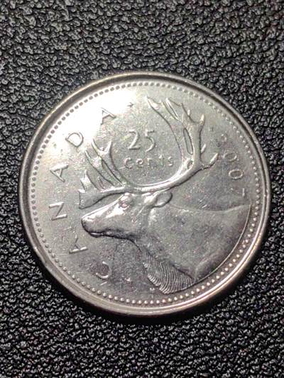 靖甫拍卖第十一场 - 1/4加元