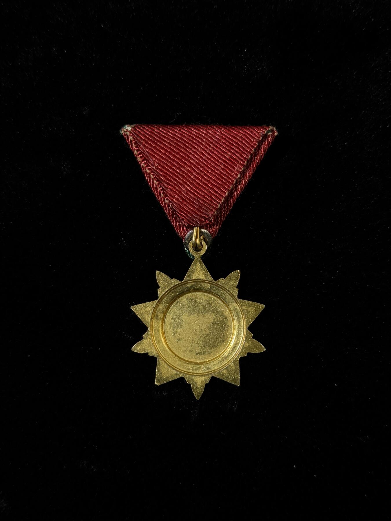 戎马世界章牌大赏第115期