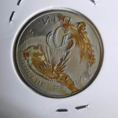 沼泽如烟--第1068场 泰国