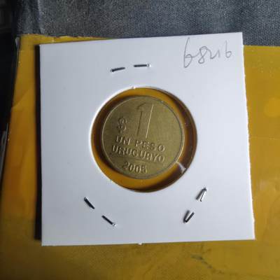 沼泽如烟--第1068场 乌拉圭2005年1比索