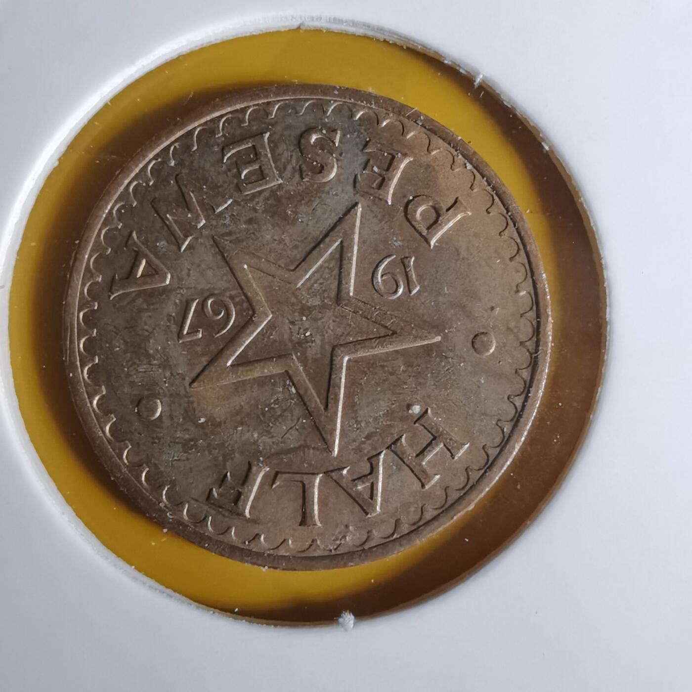 沼泽如烟--第1068场