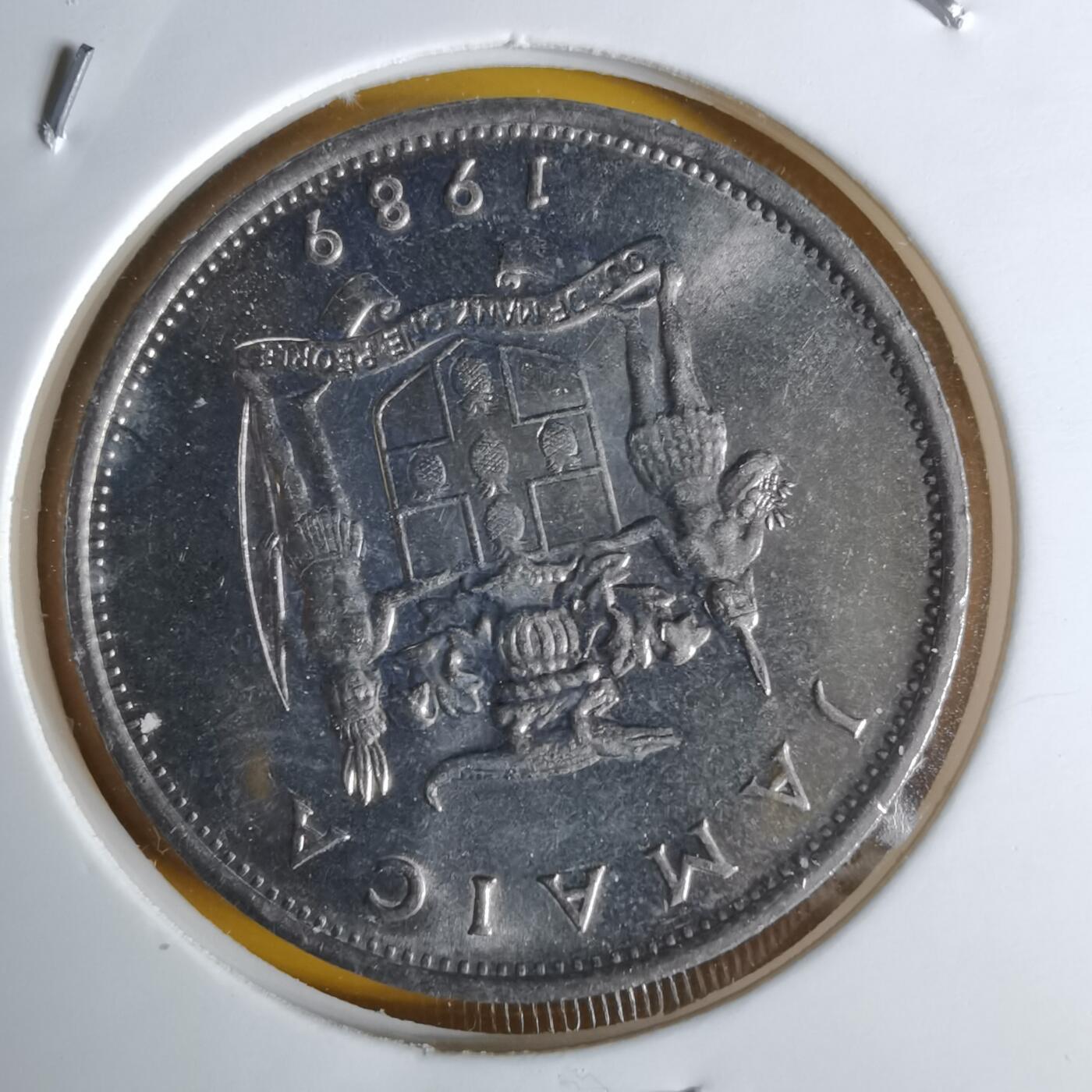 沼泽如烟--第1068场