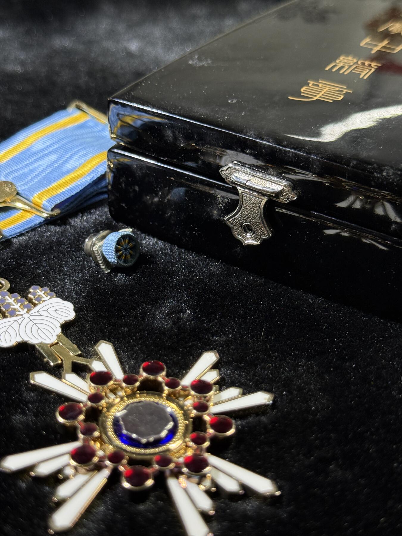 戎马世界章牌大赏第115期