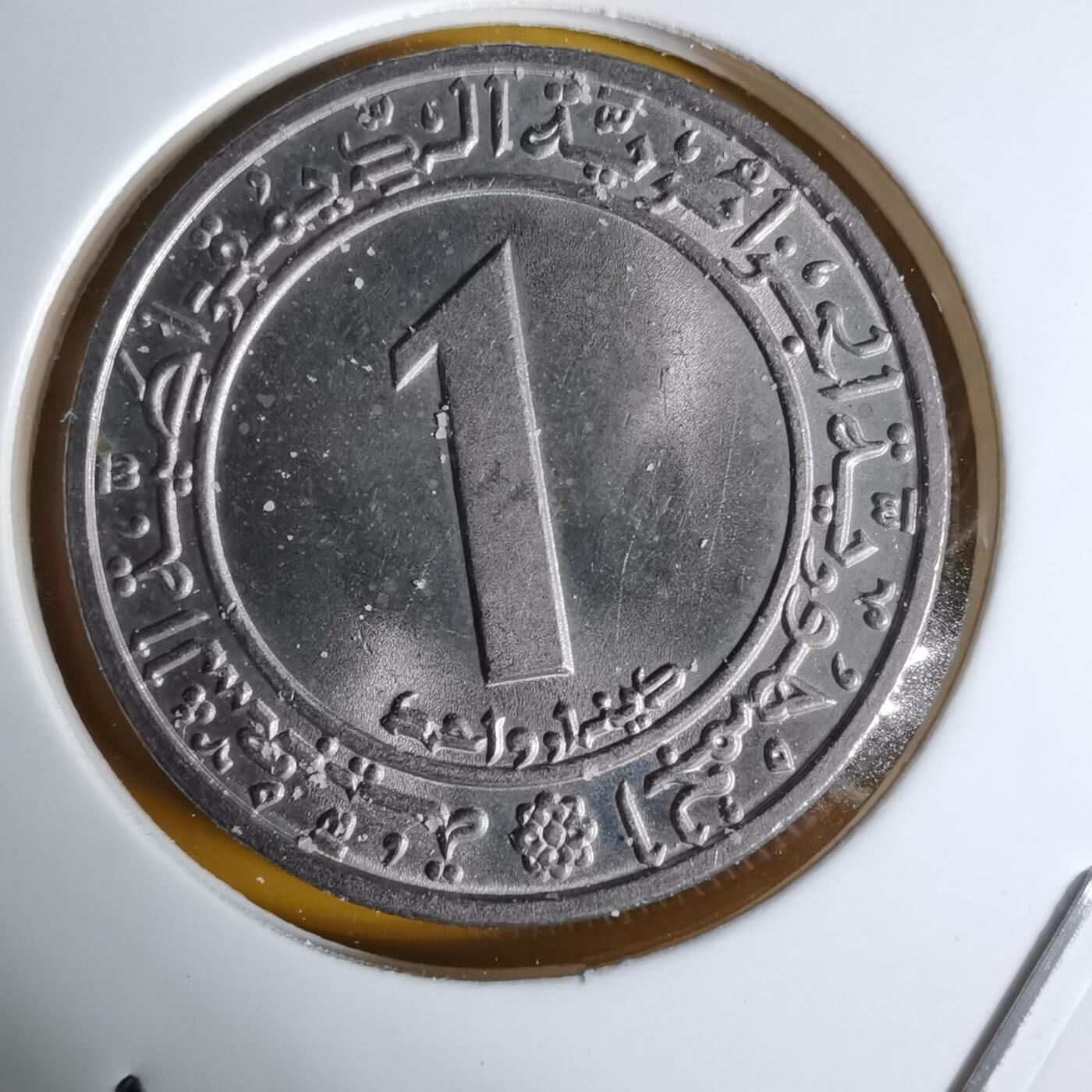 沼泽如烟--第1068场