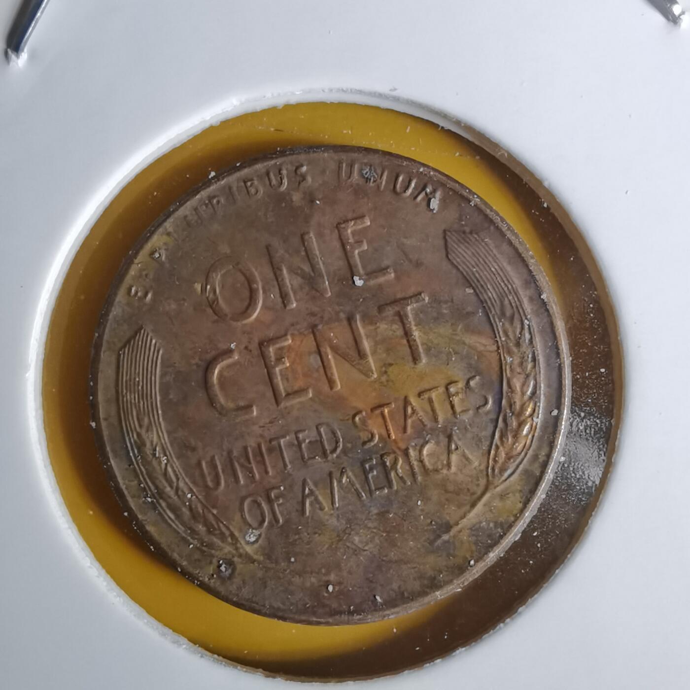 沼泽如烟--第1068场