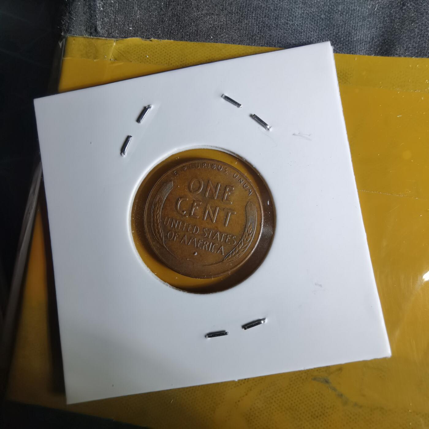 沼泽如烟--第1068场