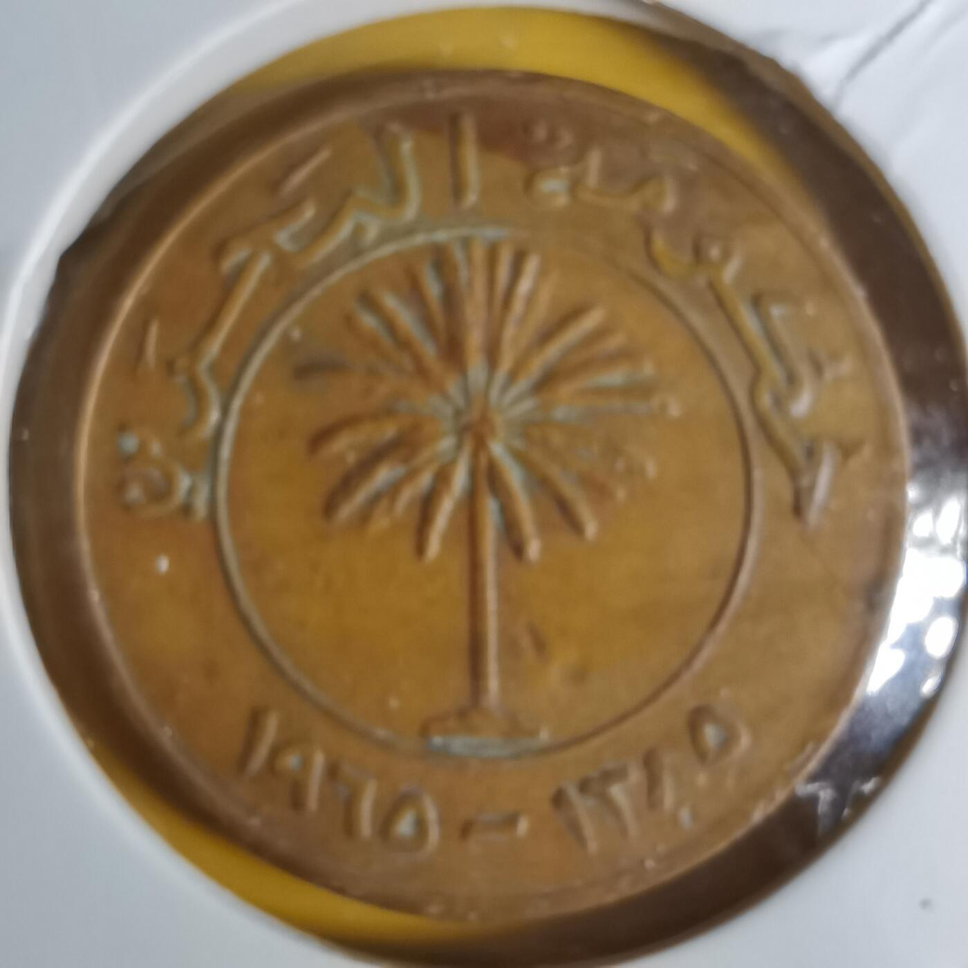 沼泽如烟--第1068场