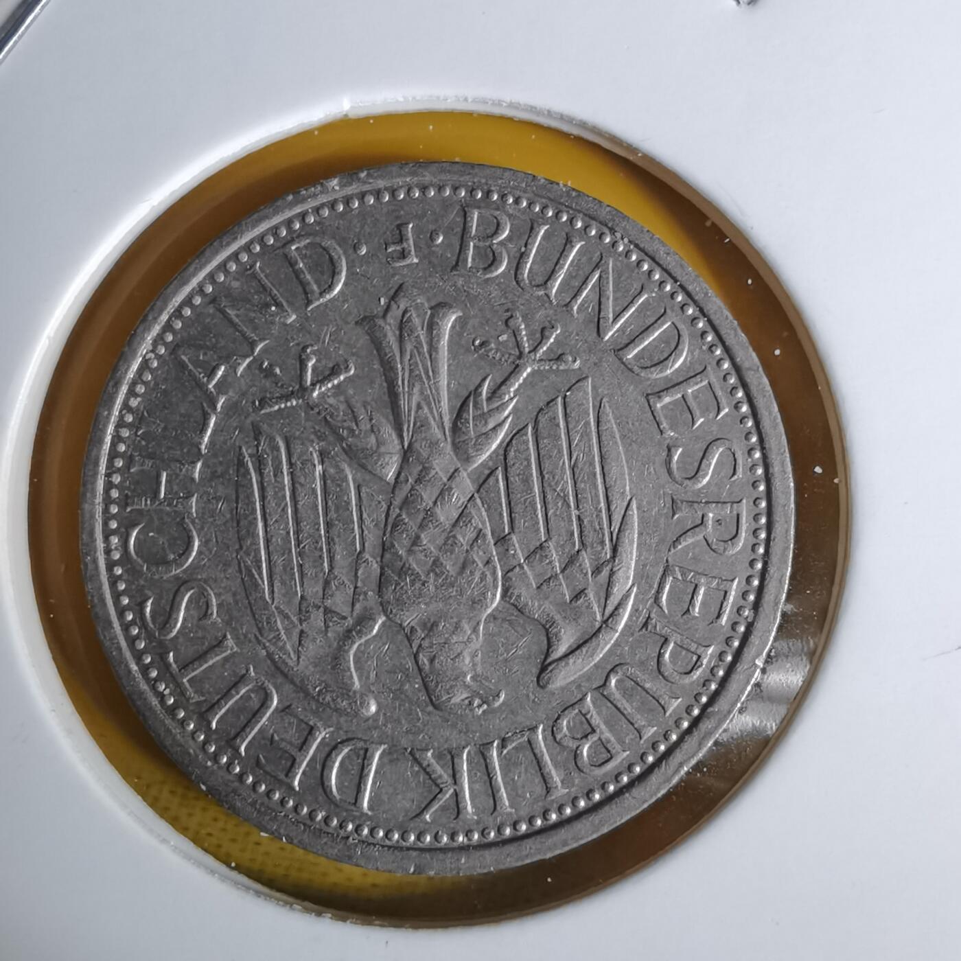 沼泽如烟--第1068场