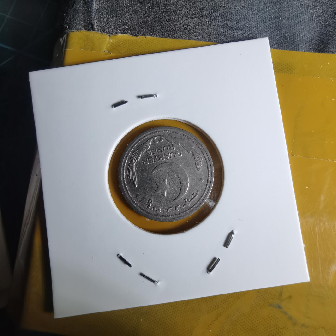 沼泽如烟--第1068场