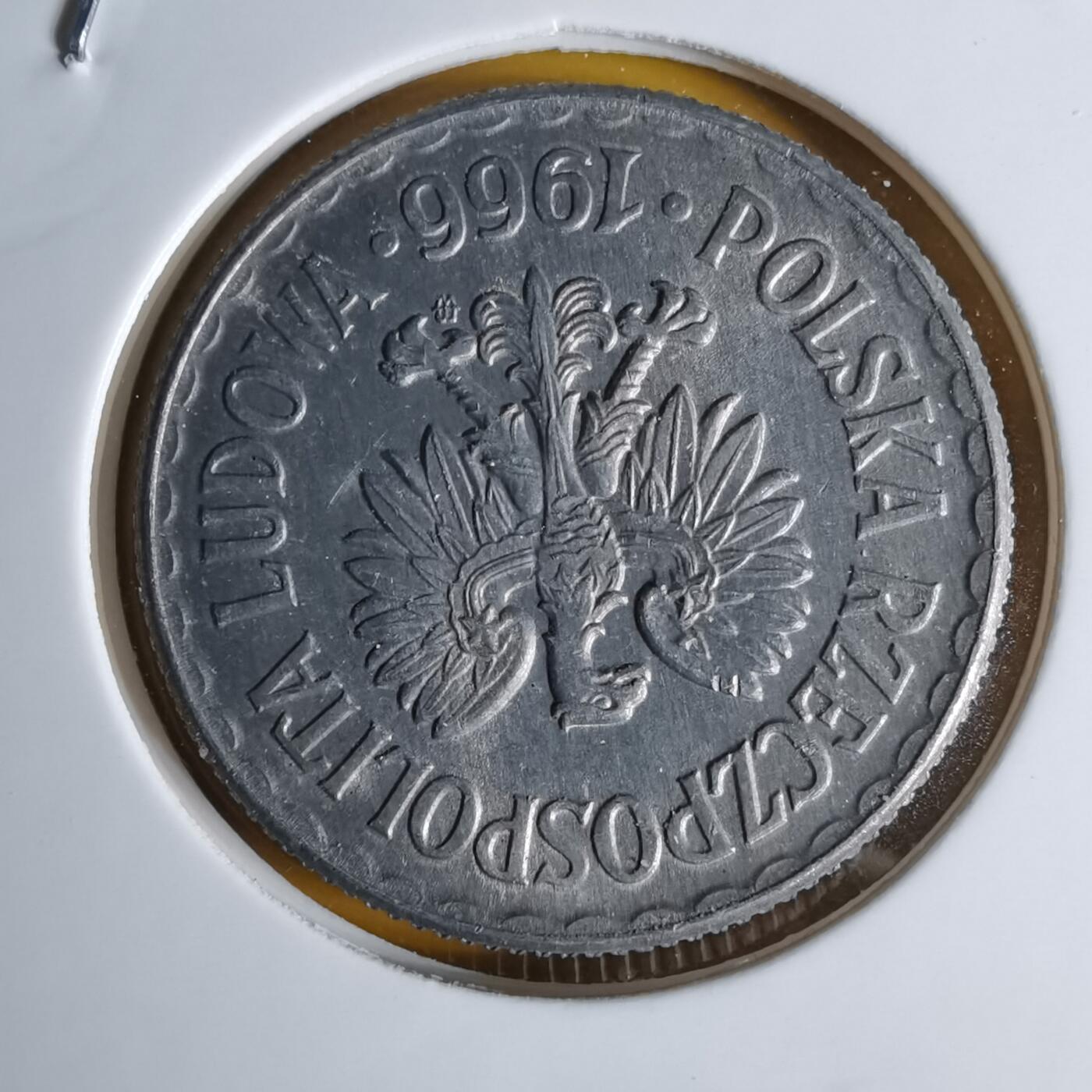 沼泽如烟--第1068场