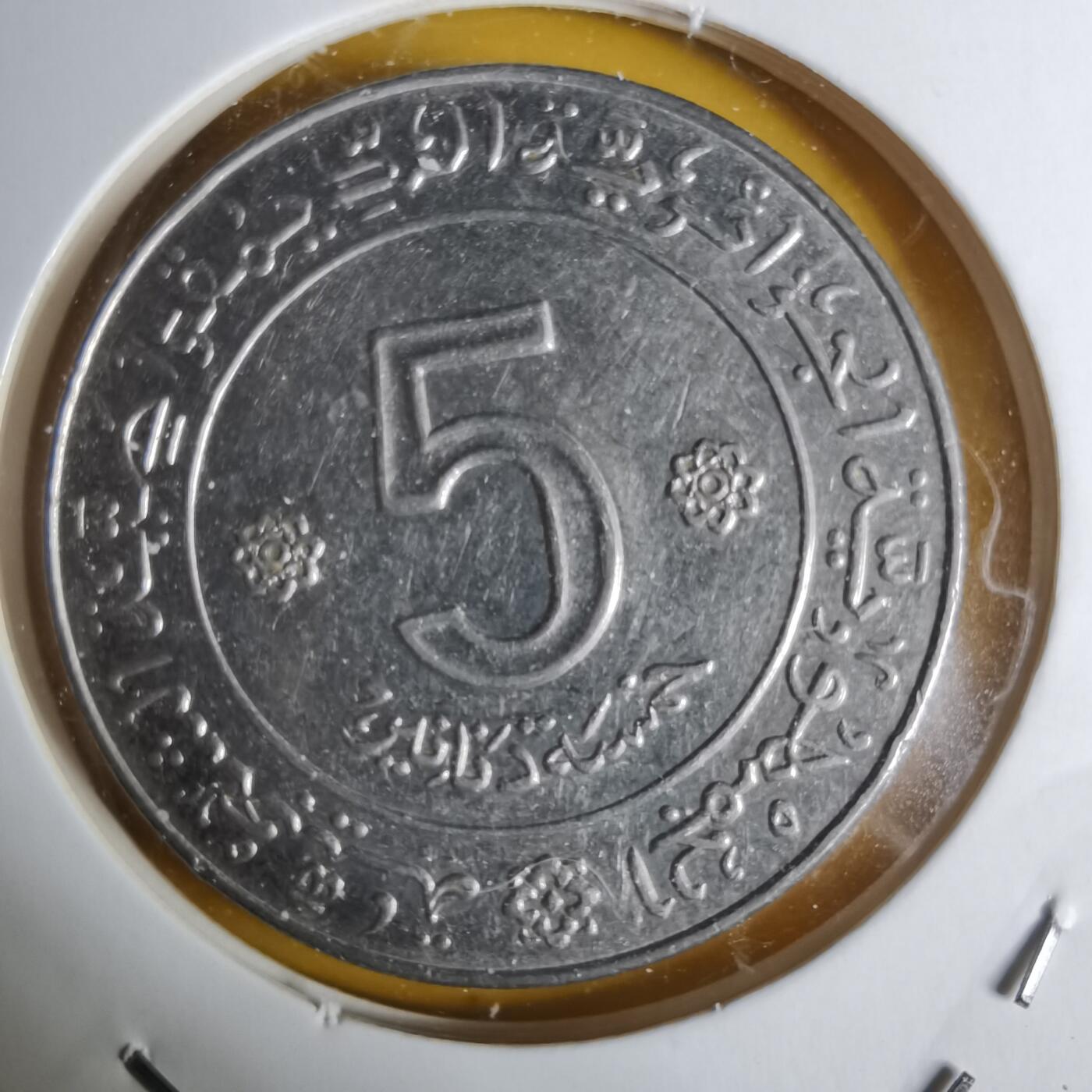 沼泽如烟--第1068场