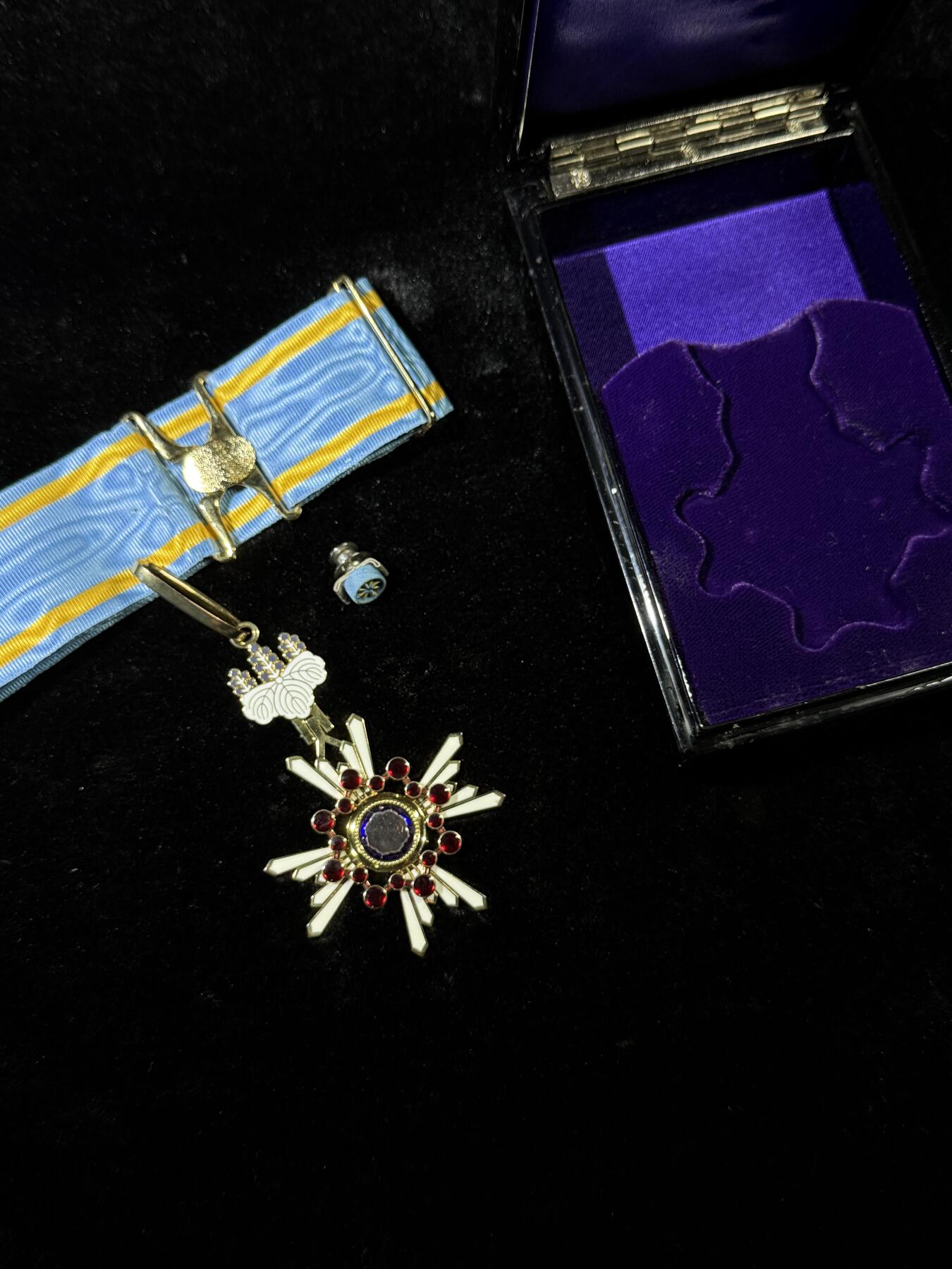 戎马世界章牌大赏第115期