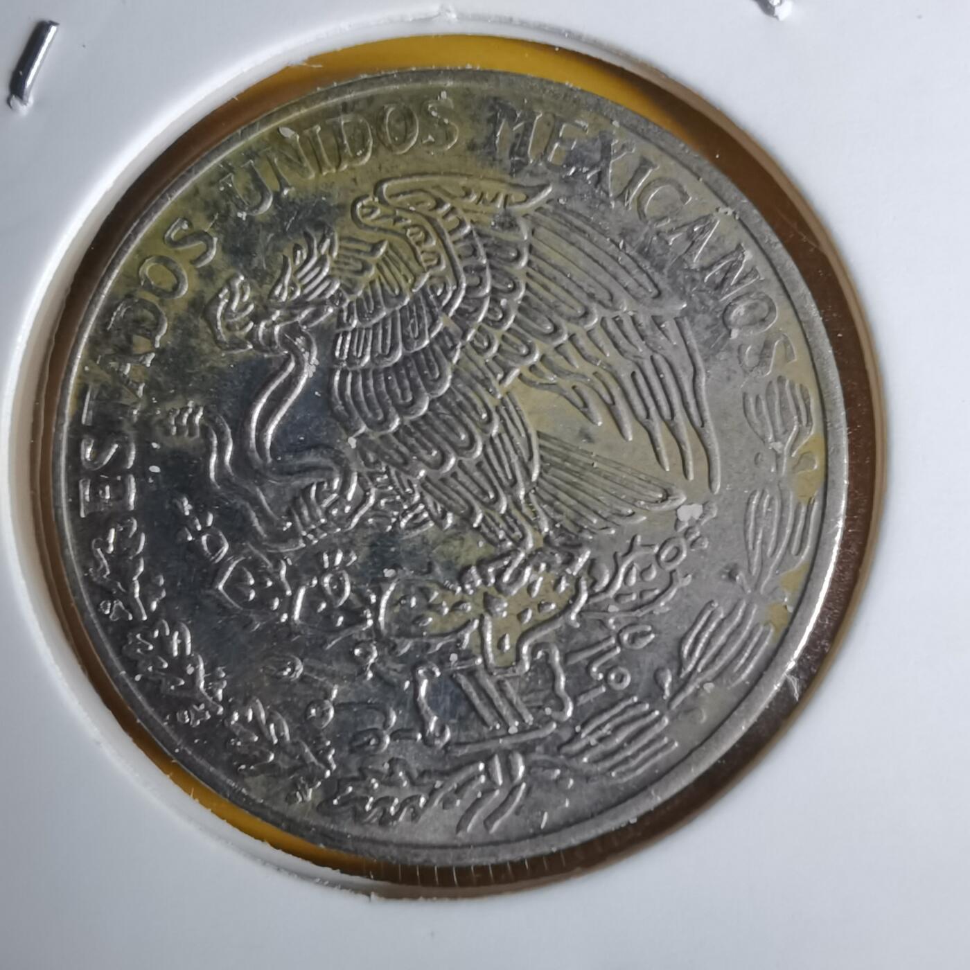 沼泽如烟--第1068场