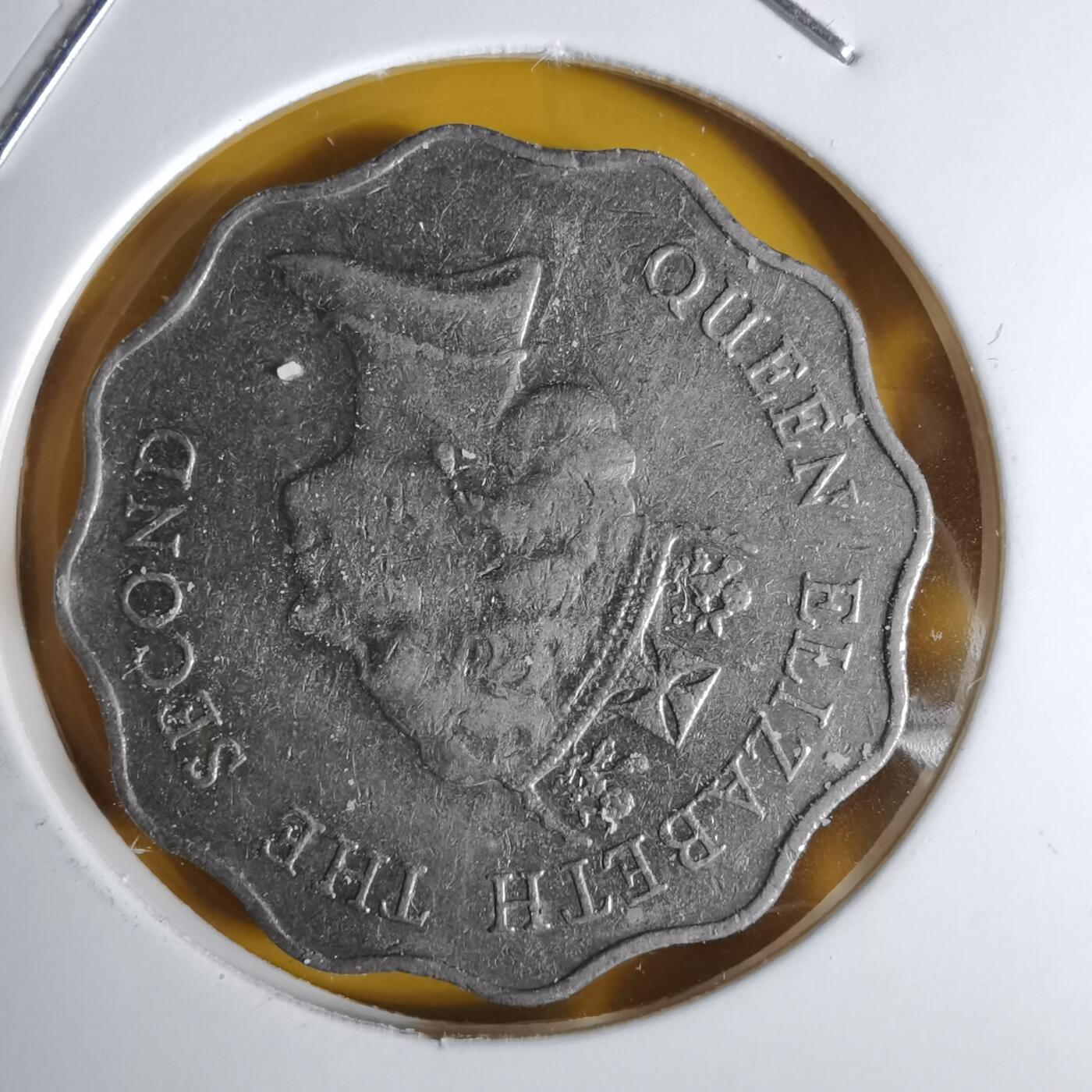 沼泽如烟--第1068场