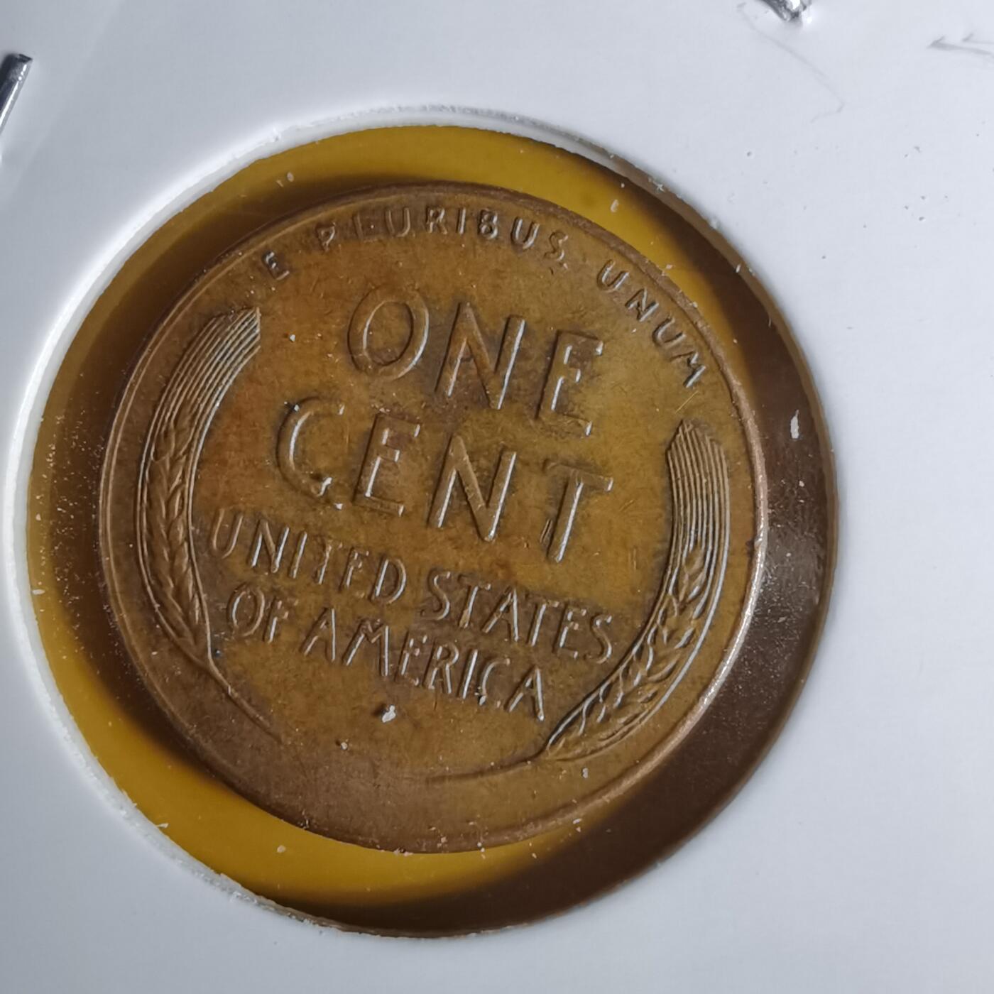 沼泽如烟--第1068场