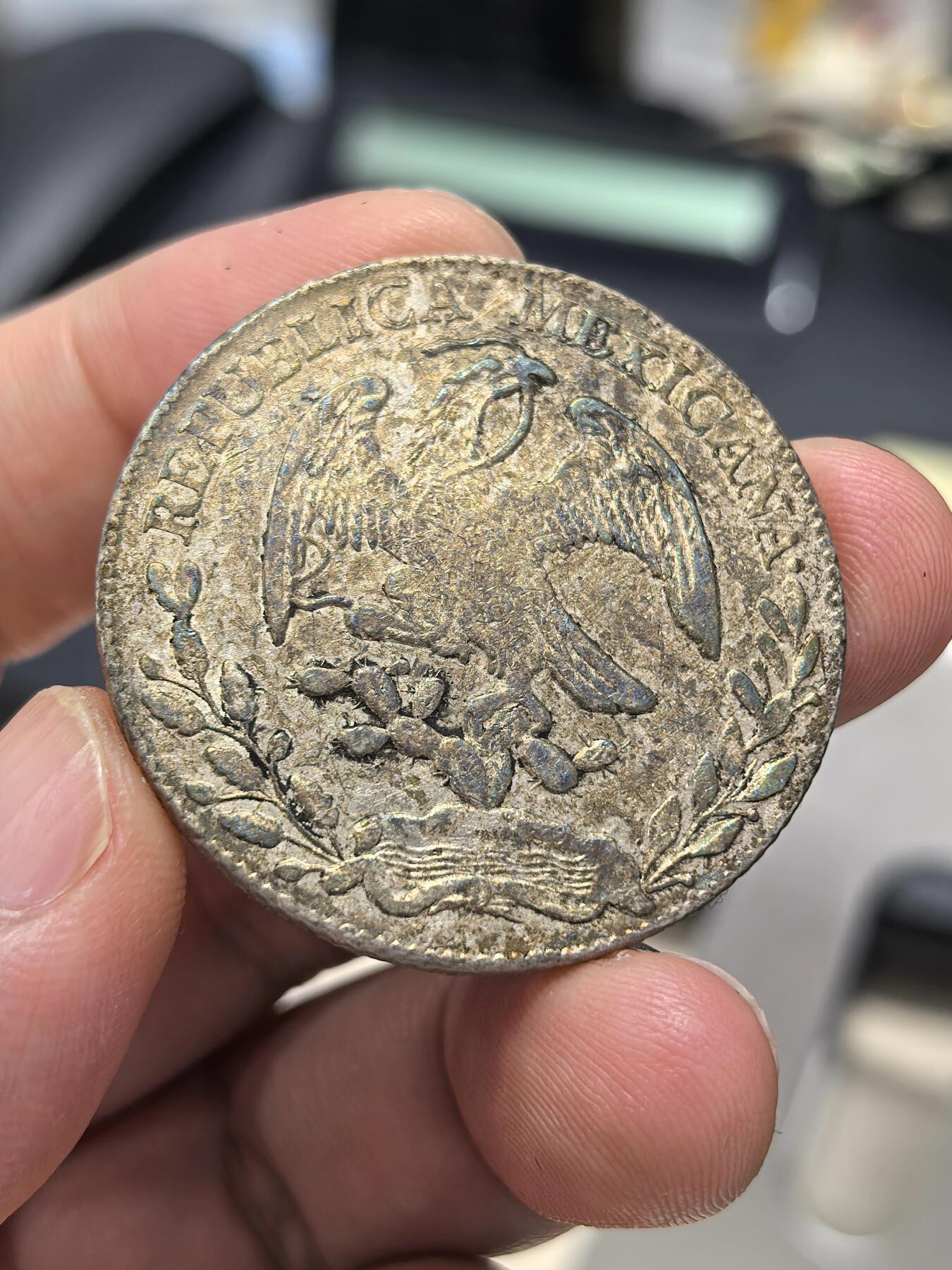 博洋堂“生趣盎然”4月精品专场暨第169期（全场包邮）