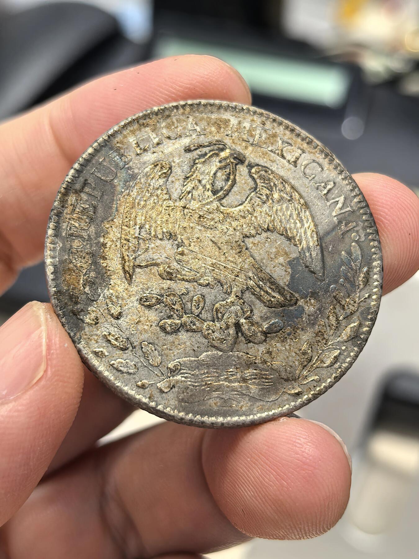 博洋堂“生趣盎然”4月精品专场暨第169期（全场包邮）