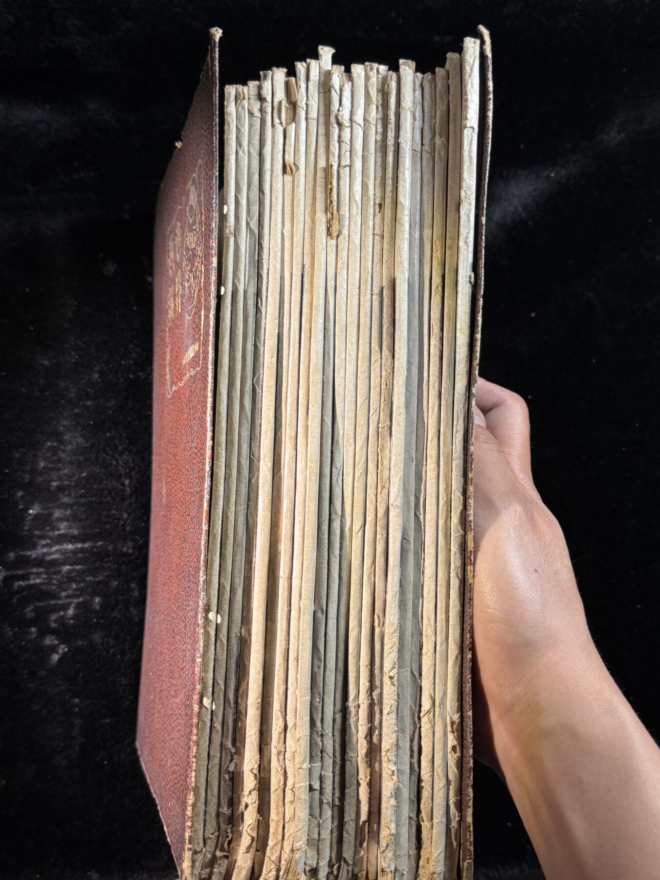 戎马世界章牌大赏第115期