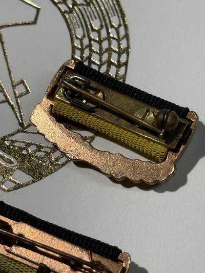 戎马世界章牌大赏第115期 东德铜级祖国功勋，带证书