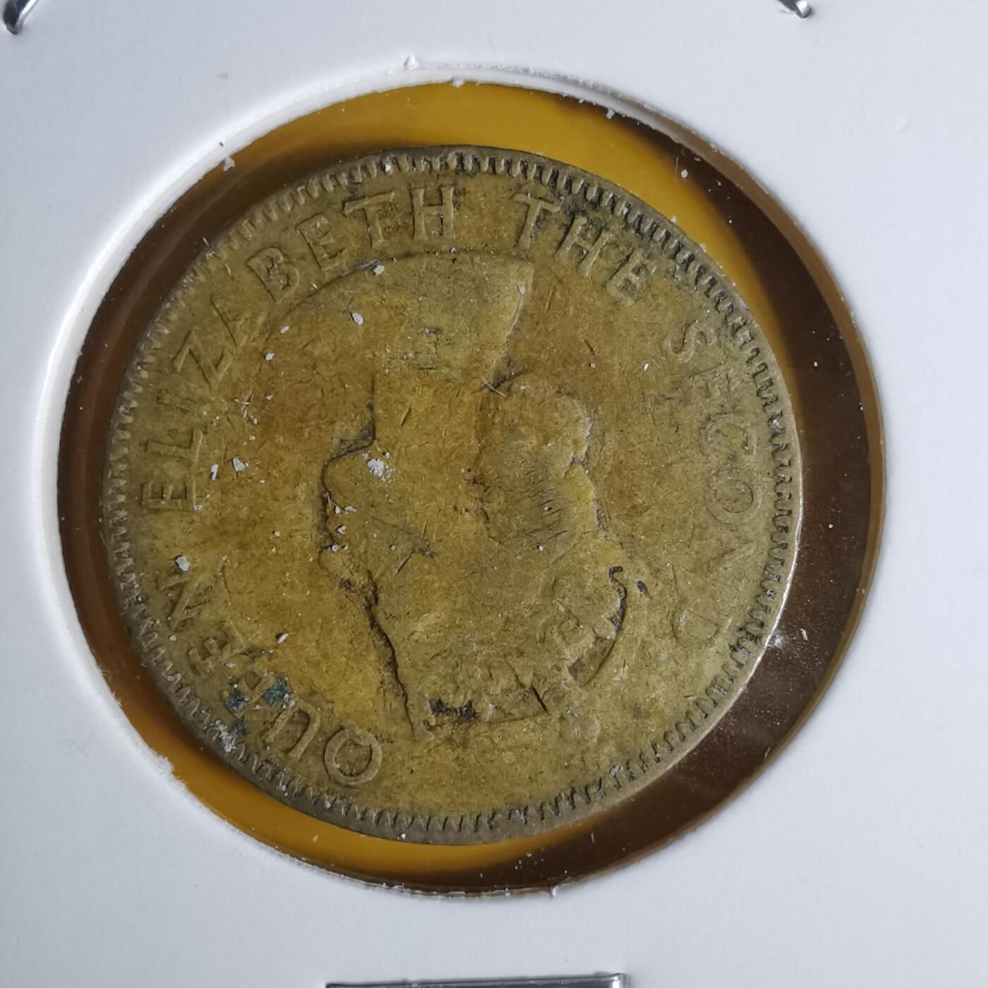 沼泽如烟--第1068场