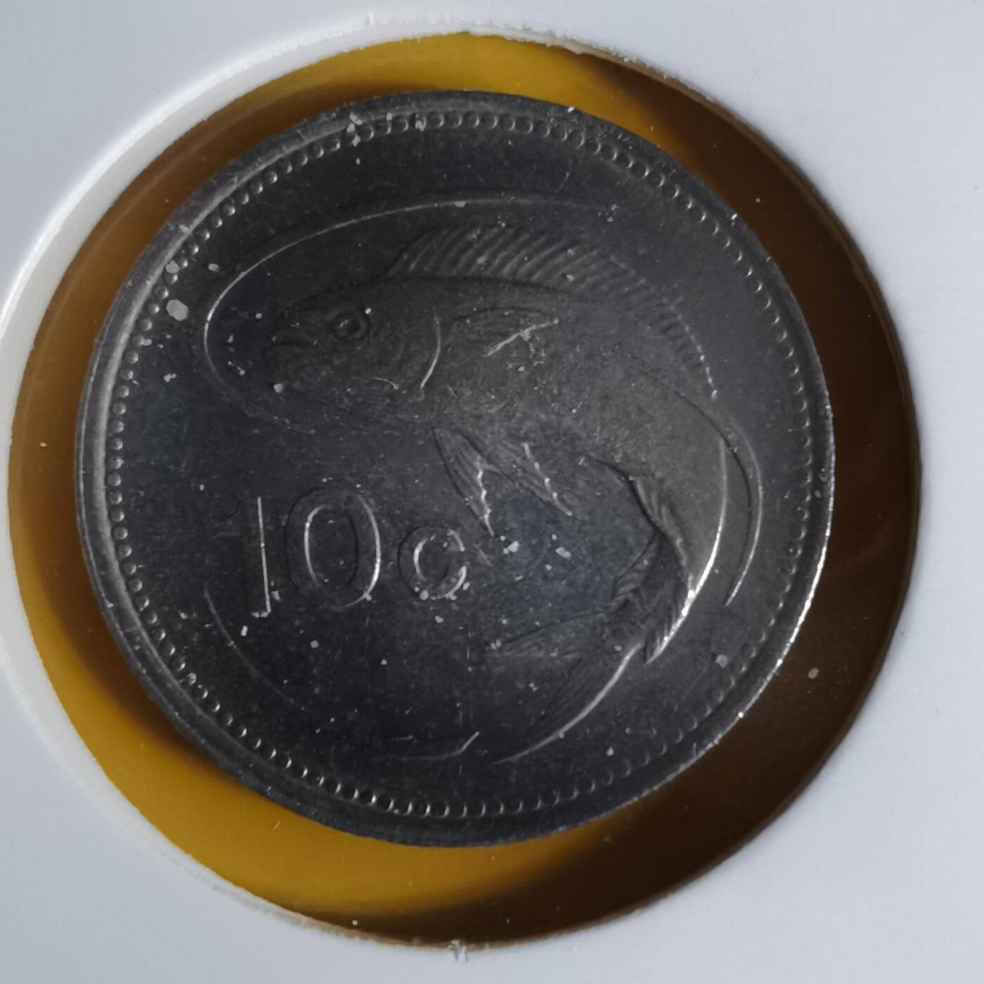 沼泽如烟--第1068场