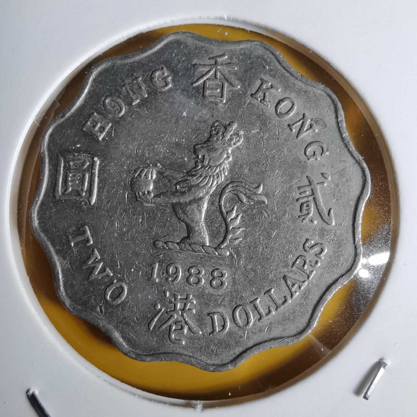 沼泽如烟--第1068场