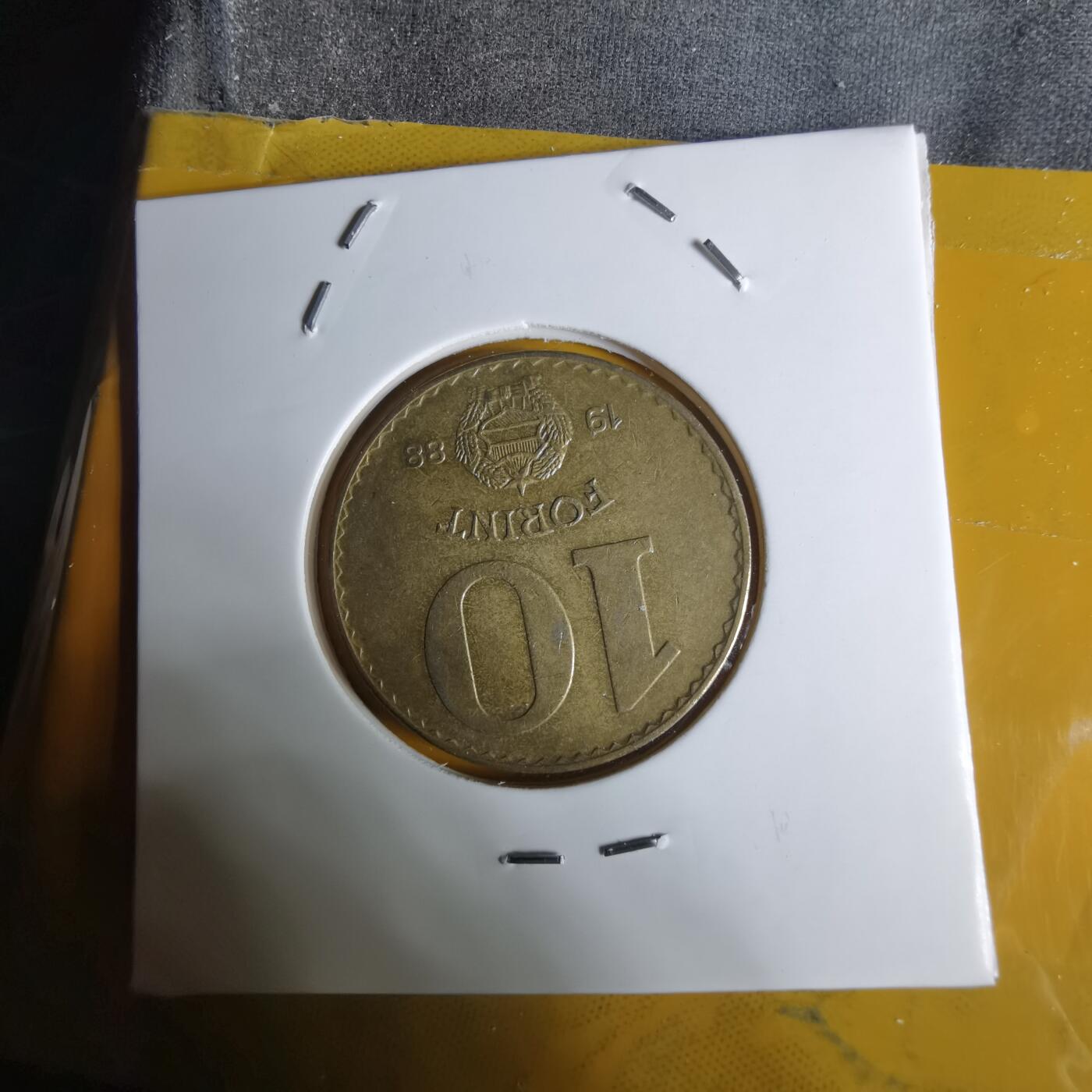 沼泽如烟--第1068场