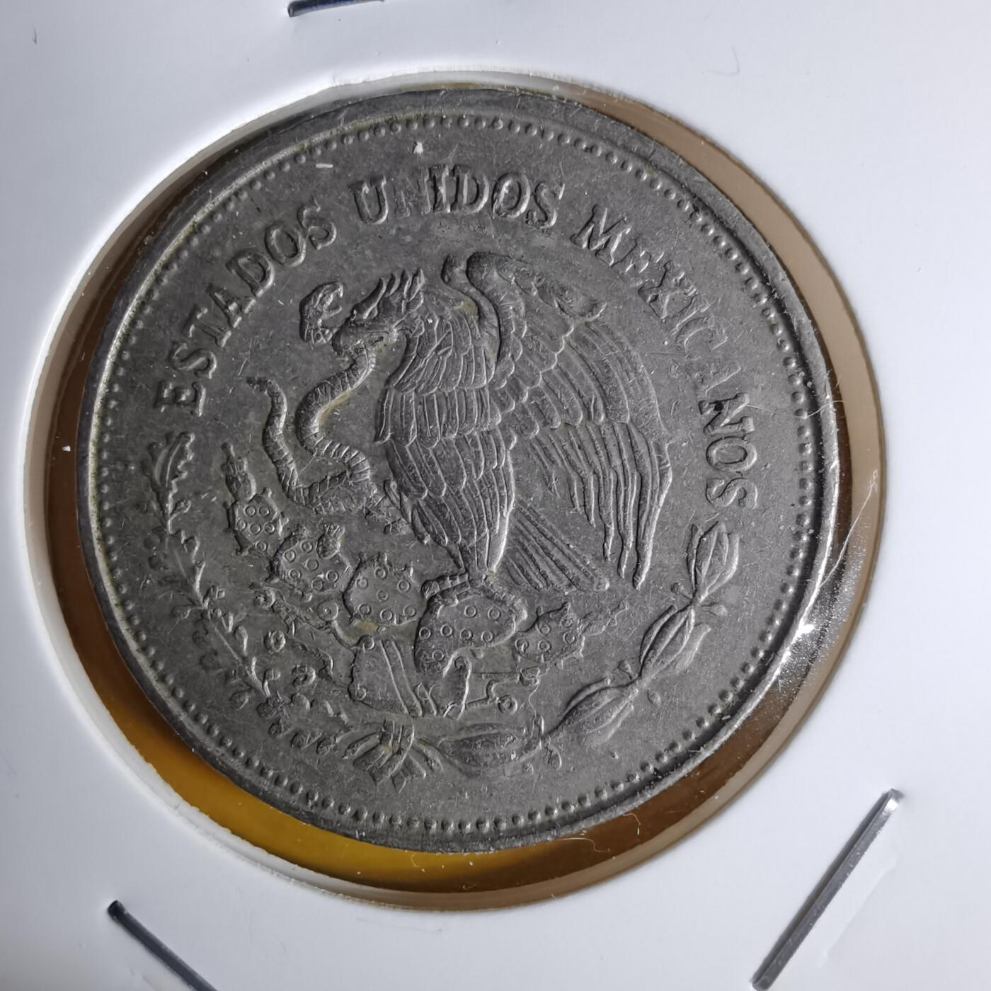 沼泽如烟--第1068场