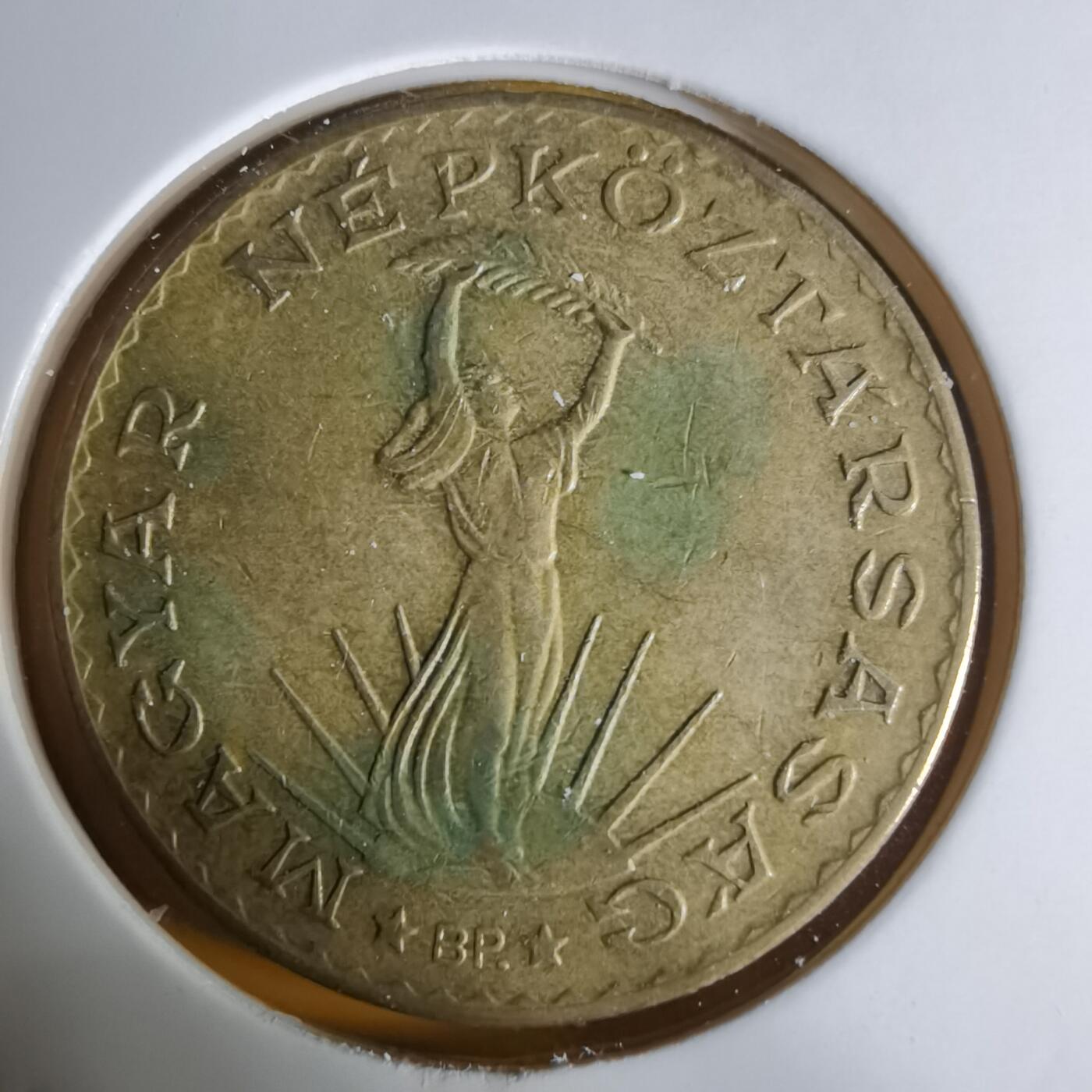 沼泽如烟--第1068场