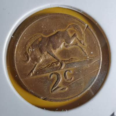 沼泽如烟--第1068场 南非1965年二分