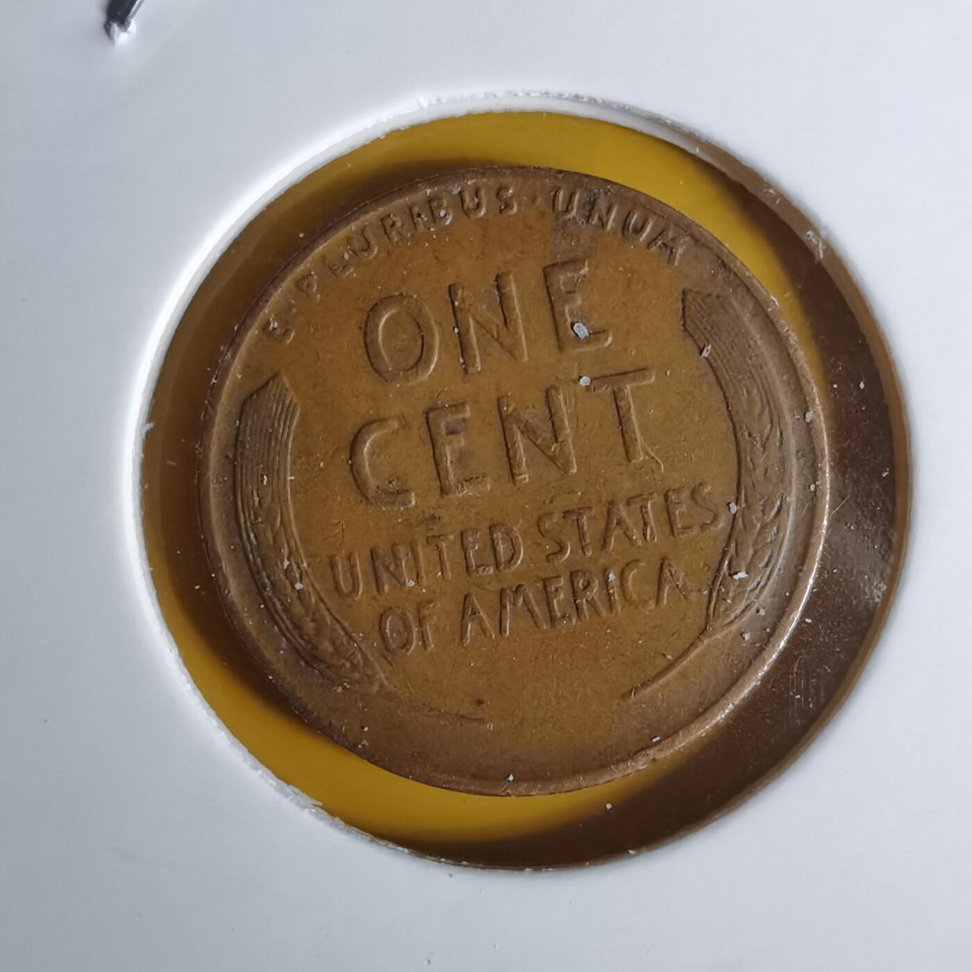 沼泽如烟--第1068场